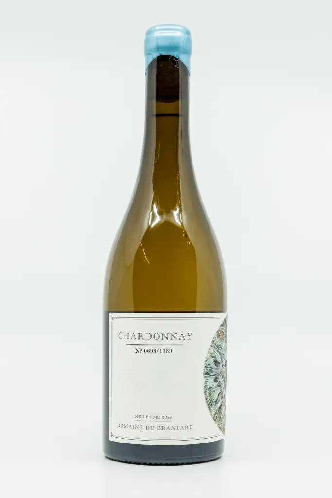 Chardonnay-3.webp